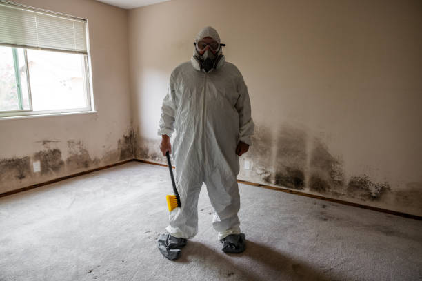 Best Black Mold Removal  in San Joaquin, CA